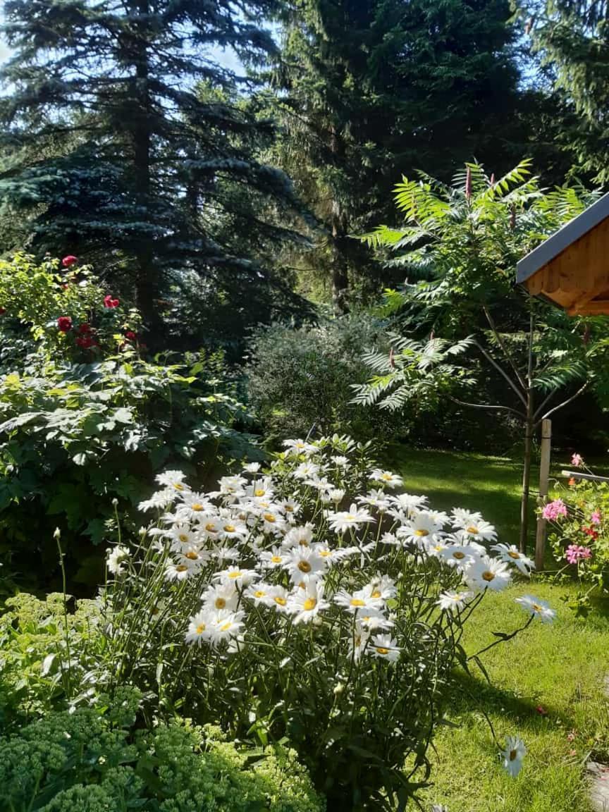 Seidelsferienparadiesgahlenz Экстерьер фото