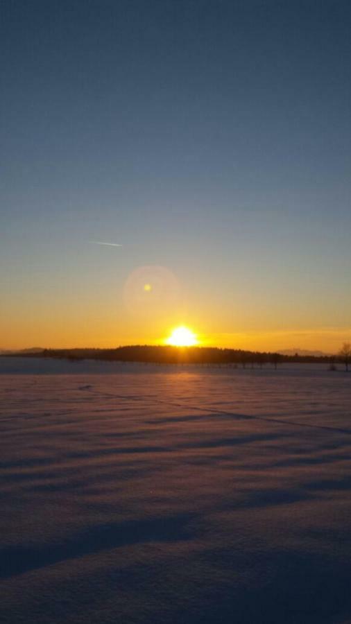 Seidelsferienparadiesgahlenz Экстерьер фото